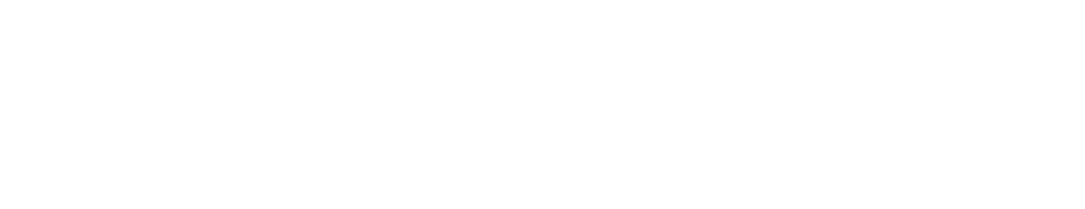 Wiwo